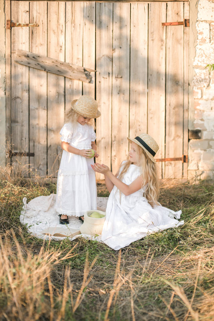 Mooie blonde meisje zusters in witte jurken en stro hoeden lachen en appels eten op het platteland in de zomer - Foto, afbeelding
