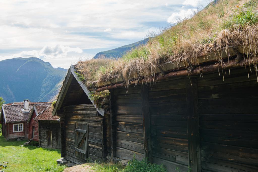 houten gebouw met gras groeien op dak in Flam village, Aurlandsfjord, (Aurlandsfjorden), Noorwegen - Foto, afbeelding
