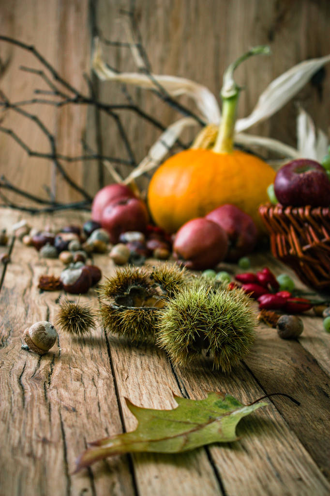 Podzimní plody pozadí. Na podzim díkůvzdání sezónní ovoce. Přírodní pozadí - Fotografie, Obrázek