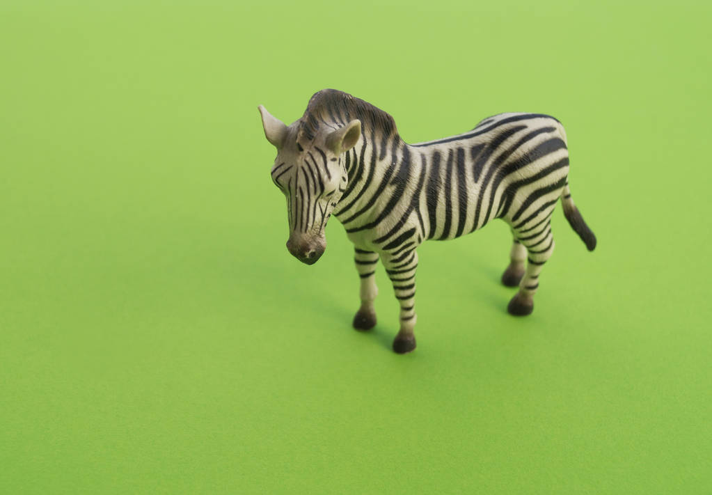Un animal de cebra es un juguete para niños. Figura de plástico para el juego. Fondo verde. Granja y el zoológico
. - Foto, imagen