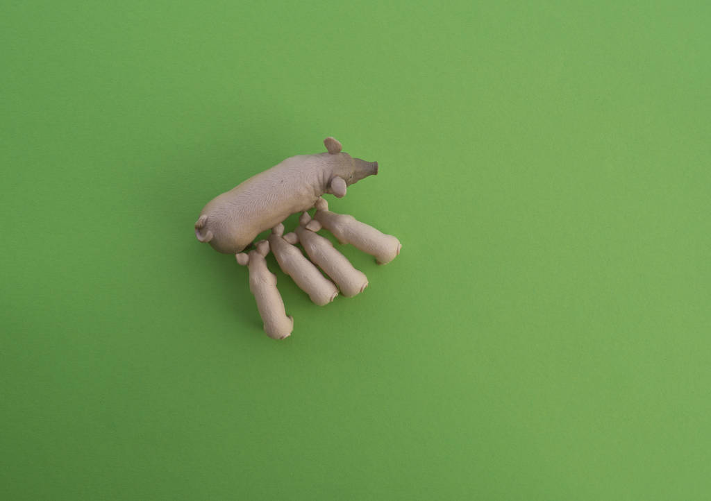 Zwierzę świnia to zabawka dla dzieci. Plastikowe figurki do gry. Zielone tło. Gospodarstwo i ogród zoologiczny. - Zdjęcie, obraz