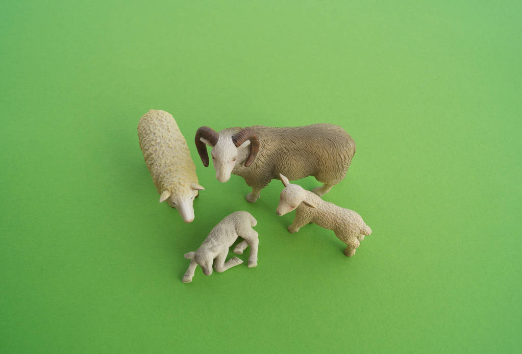 Zwierzę owiec to zabawka dla dzieci. Plastikowe figurki do gry. Zielone tło. Gospodarstwo i ogród zoologiczny. - Zdjęcie, obraz