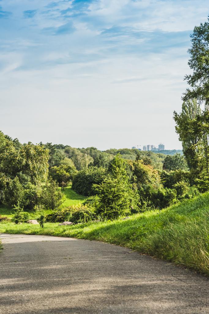 camino de asfalto en parque verde con paisaje en el fondo
 - Foto, imagen
