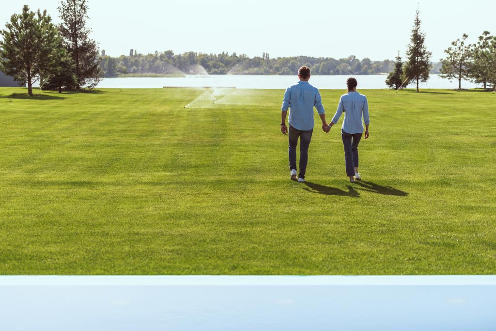 vue arrière du couple tenant la main et marchant sur l'herbe à l'extérieur
  - Photo, image
