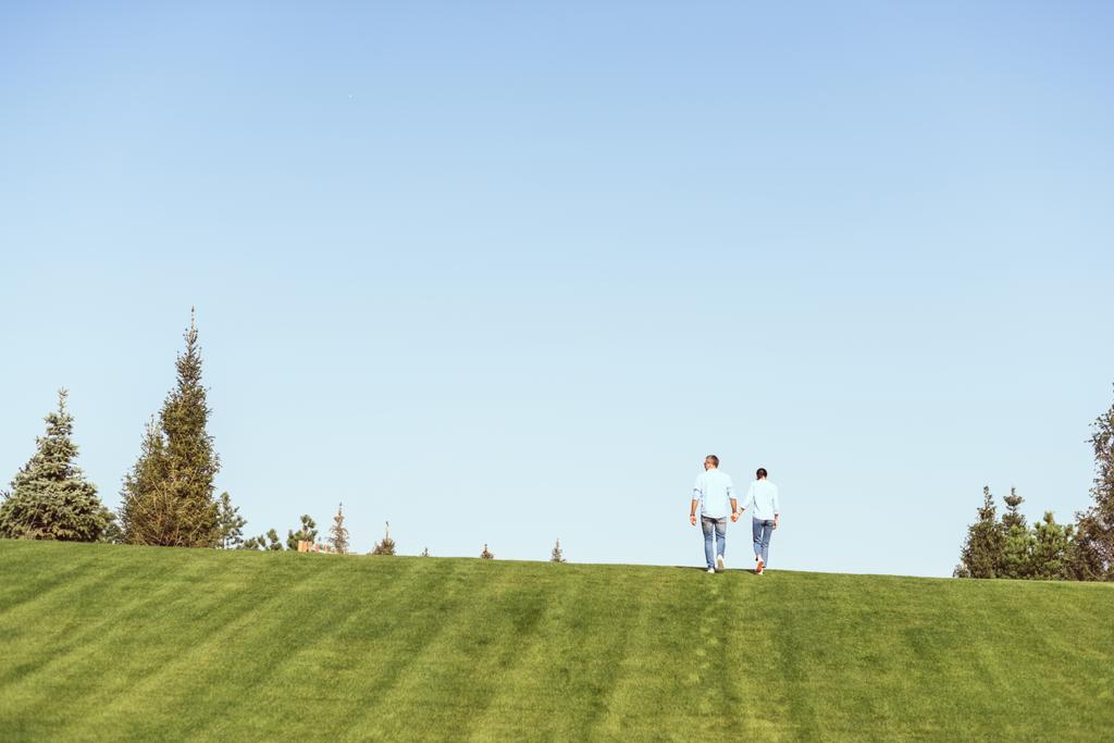 далекий вид пары, держащейся за руки и идущей по травяному холму на открытом воздухе
  - Фото, изображение