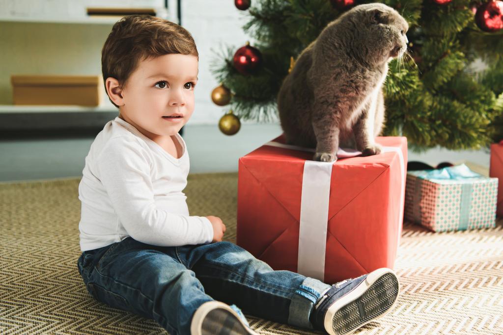 adorable enfant avec chat écossais replié sur présent près de l'arbre de Noël
 - Photo, image
