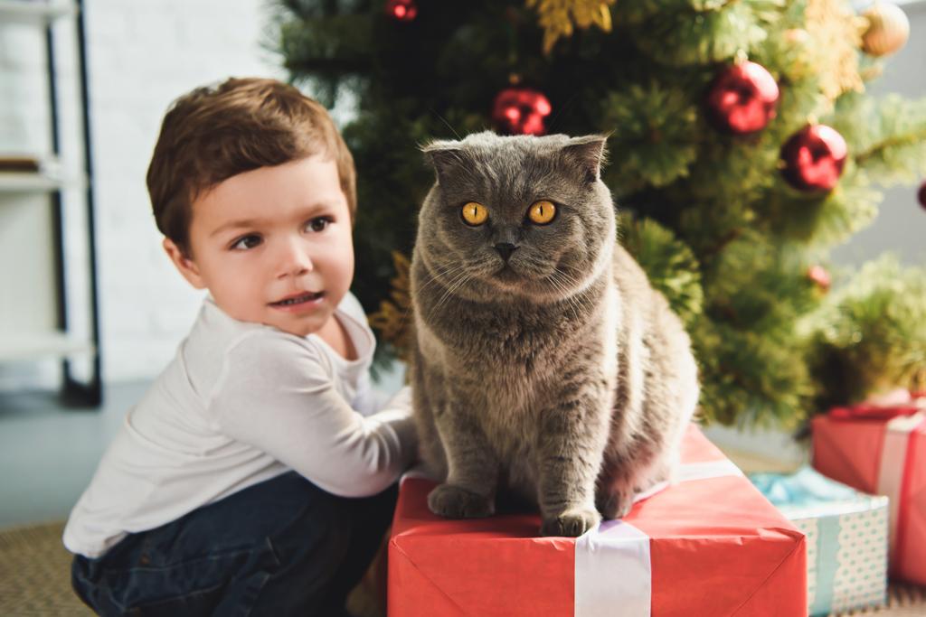 cute boy with scottish fold cat on gift box near christmas tree - Photo, Image