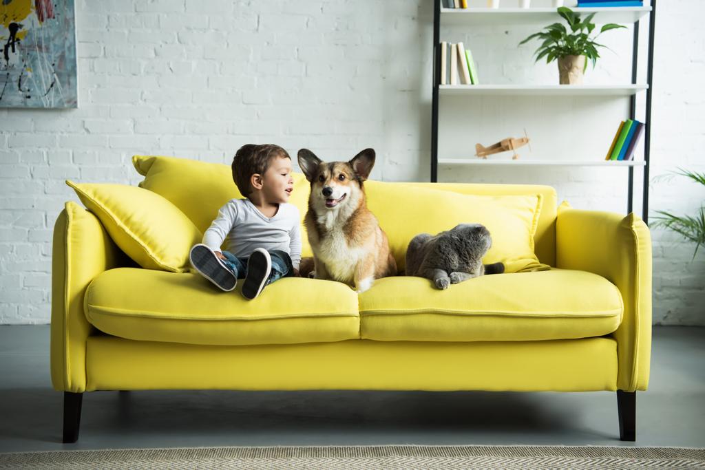 šťastné dítě sedí na žluté pohovce s domácími mazlíčky - Fotografie, Obrázek