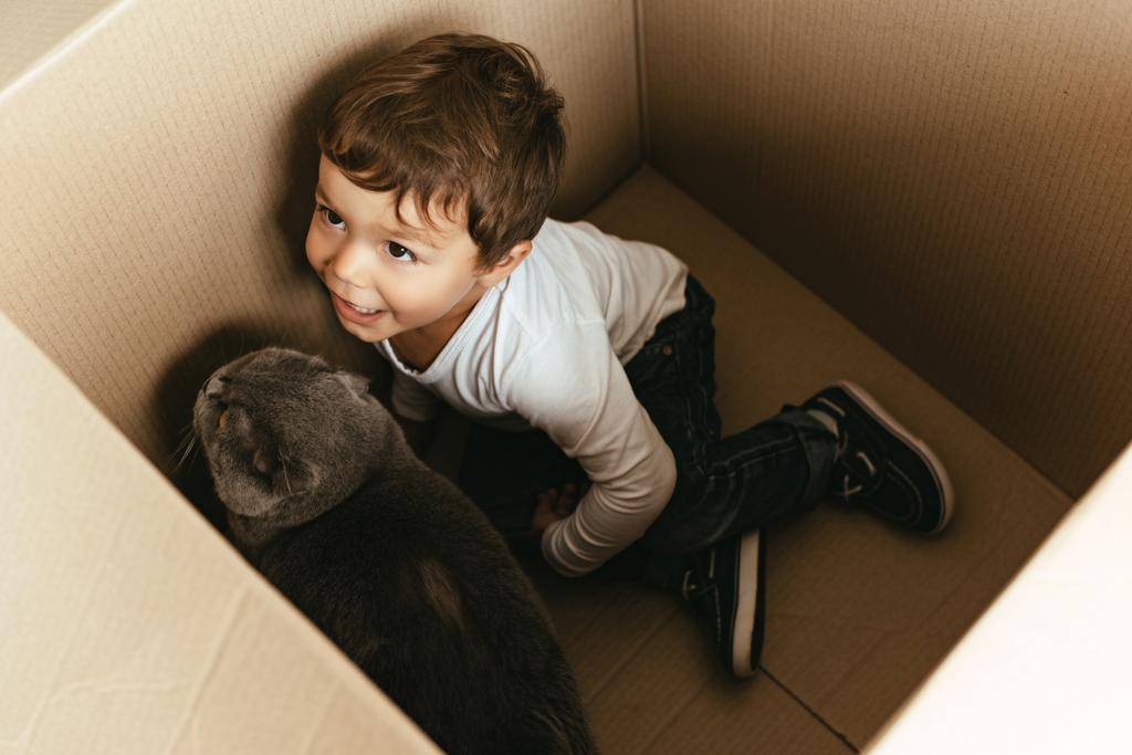 kleine jongen spelen met de kat in kartonnen doos - Foto, afbeelding