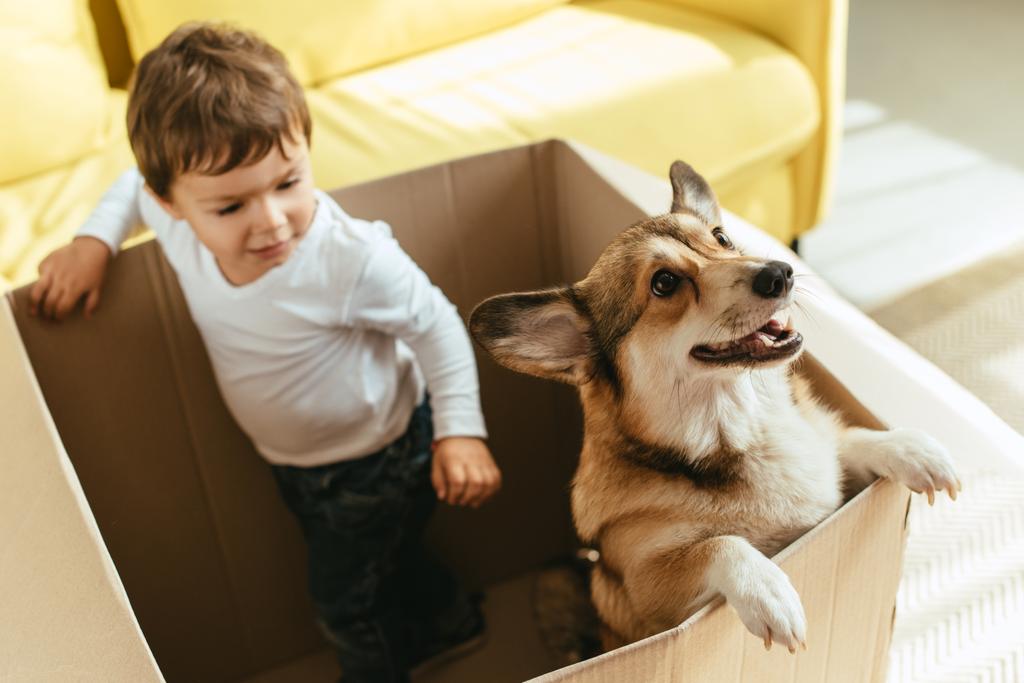 段ボール箱に犬と遊ぶ愛らしい少年 - 写真・画像