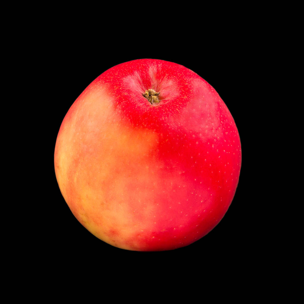 mela rossa isolata su sfondo nero
 - Foto, immagini