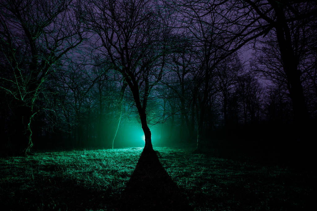 dziwne światło w ciemnym lesie w nocy. Sylwetka osoby stojącej w ciemnym lesie światłem. Ciemna noc w lesie w czasie mgły. Surrealistyczne nocy lesie scenę. Koncepcja halloween horror. Bajki - Zdjęcie, obraz