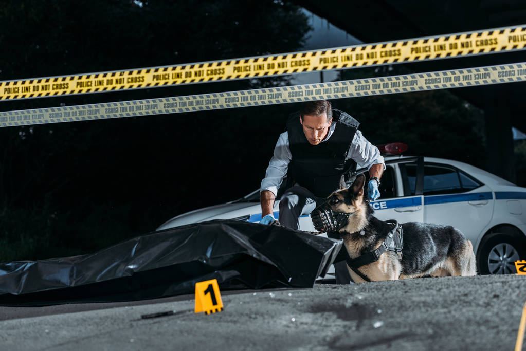 policía sosteniendo al pastor alemán con correa en la escena del crimen con el cadáver en la bolsa del cuerpo
  - Foto, imagen