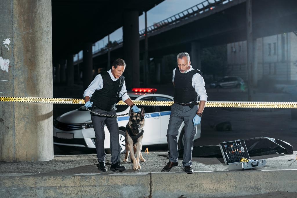 Polizeibeamte mit Schäferhund an der Leine nahe der Kreuzung am Tatort  - Foto, Bild