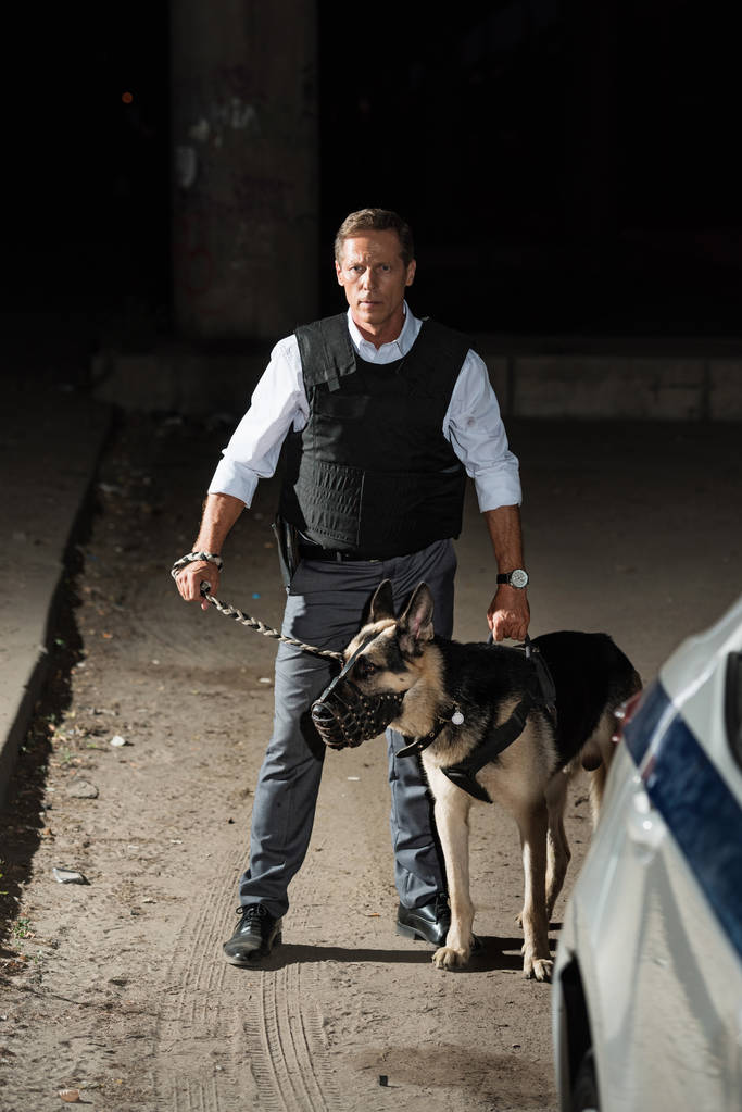 mature policeman in bulletproof vest holding german shepherd dog on leash near car at city street  - Photo, Image
