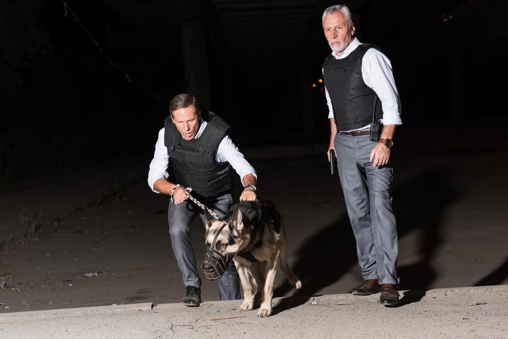 通りの鎖のジャーマン ・ シェパード犬の深刻な男性警察官  - 写真・画像
