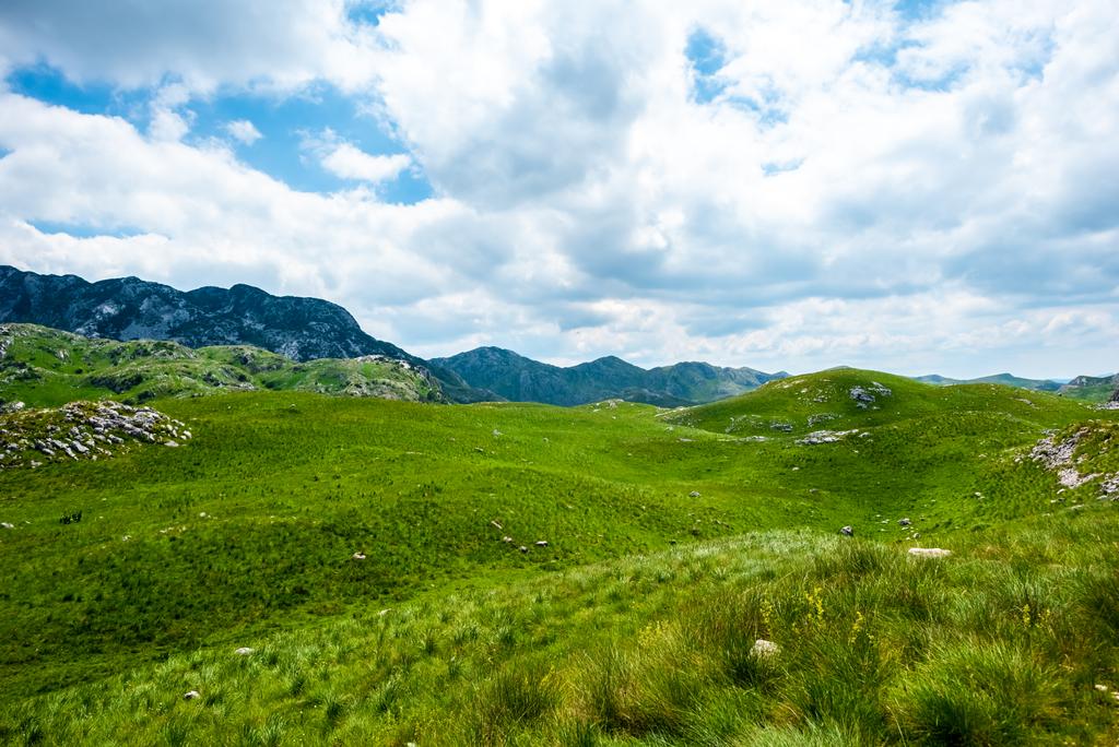 grama verde, montanhas e céu nublado em Durmitor maciço, Montenegro
  - Foto, Imagem