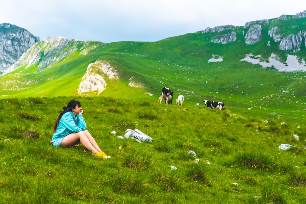 beautiful woman sitting near cows grazing on green valley in Durmitor massif, Montenegro - Φωτογραφία, εικόνα