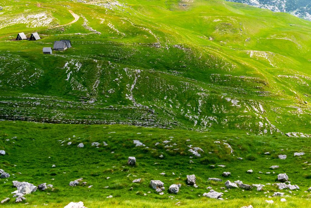 Faházak, a gyönyörű zöld völgyében Durmitor massif, Montenegró - Fotó, kép