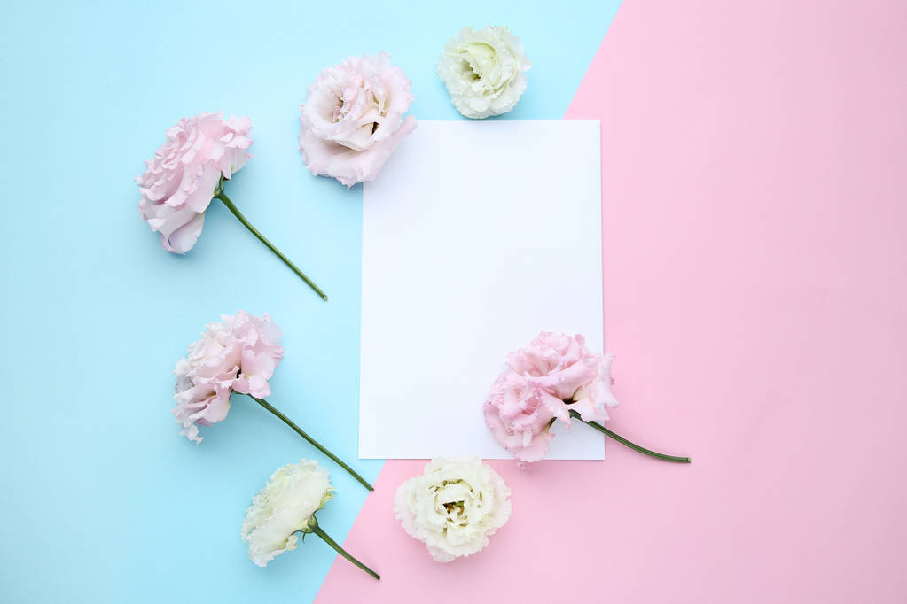 Eustoma flores com folha de papel sobre fundo colorido
 - Foto, Imagem