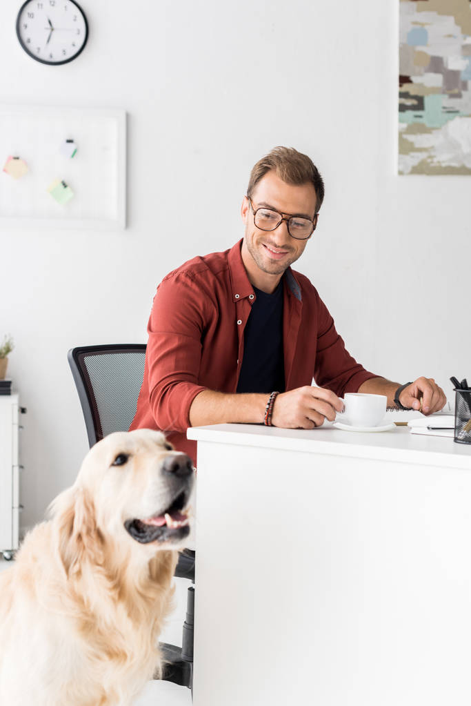 近代的なオフィスにゴールデン ・ リトリーバー犬と幸せなビジネスマン  - 写真・画像