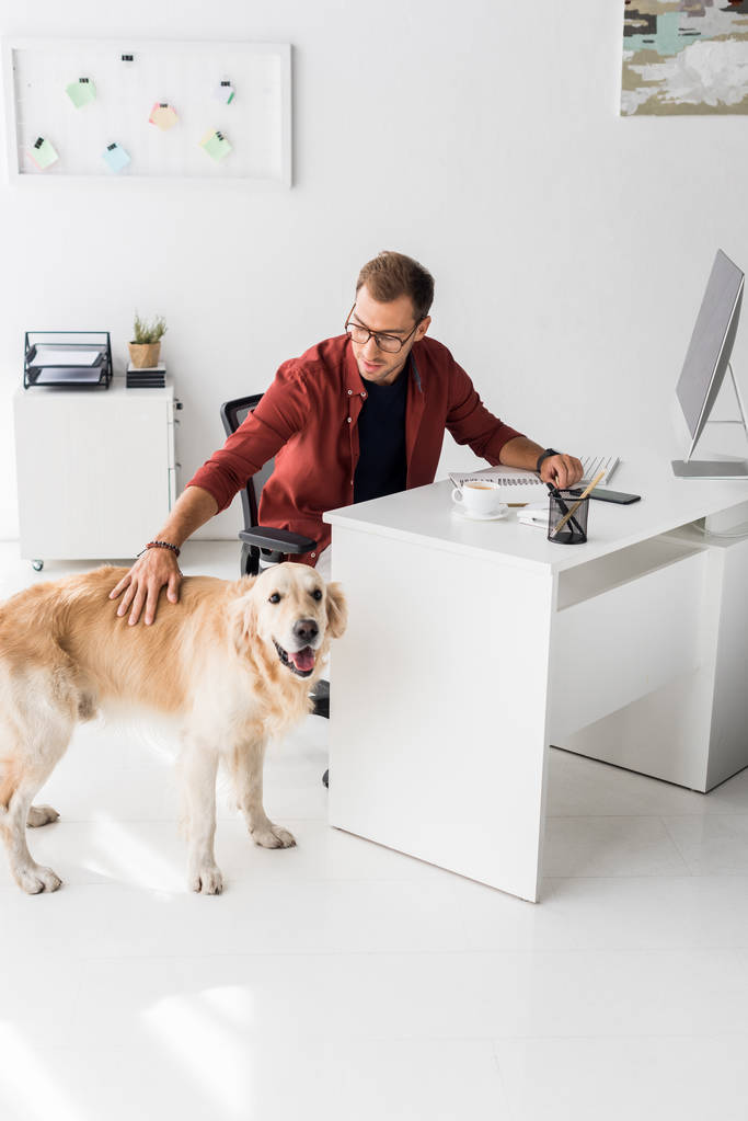 glücklicher Geschäftsmann streichelt Hund in modernem Büro  - Foto, Bild