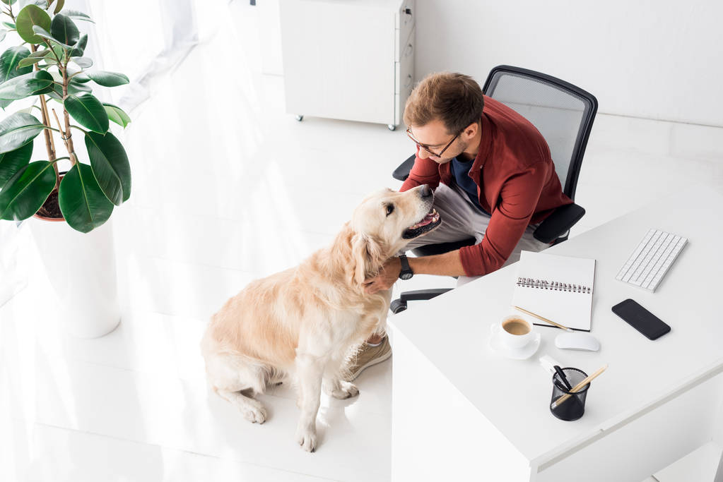 бізнесмен сидить на стільці і погладжує собаку в офісі
  - Фото, зображення