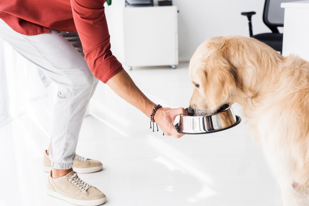 Arany-Vizsla kutya etetése a fém tálban embermás vágott - Fotó, kép
