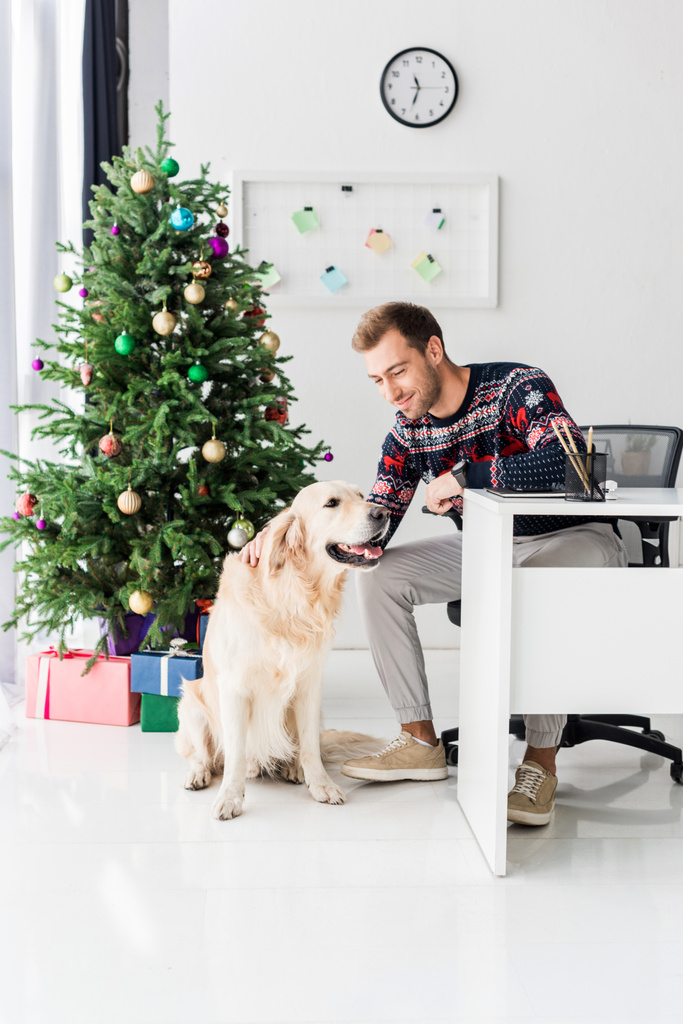 ο άνθρωπος σε πουλόβερ Χριστούγεννα κάθεται σε καρέκλα και χαϊδεύοντας golden retriever σκύλου  - Φωτογραφία, εικόνα