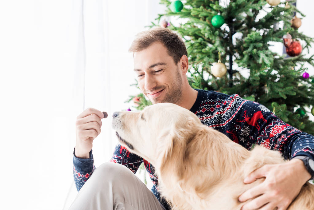 homme en pull de Noël donnant de la nourriture pour chien à golden retriever
   - Photo, image
