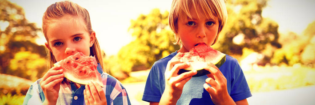 Nahaufnahme von Geschwistern mit Wassermelone im Park - Foto, Bild