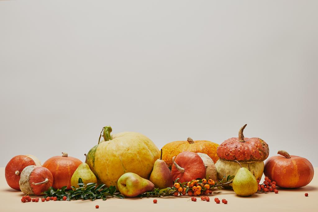 decoración de otoño con calabazas, bayas de espino fuego y peras deliciosas maduras en la mesa
 - Foto, Imagen