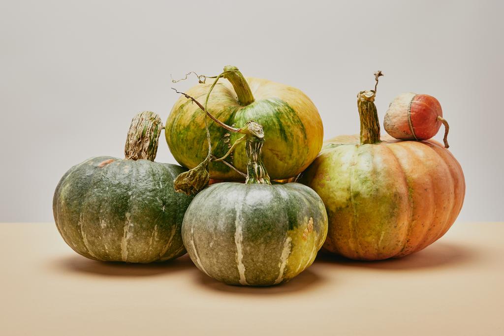 autumnal harvest of different green pumpkins on table - Photo, Image