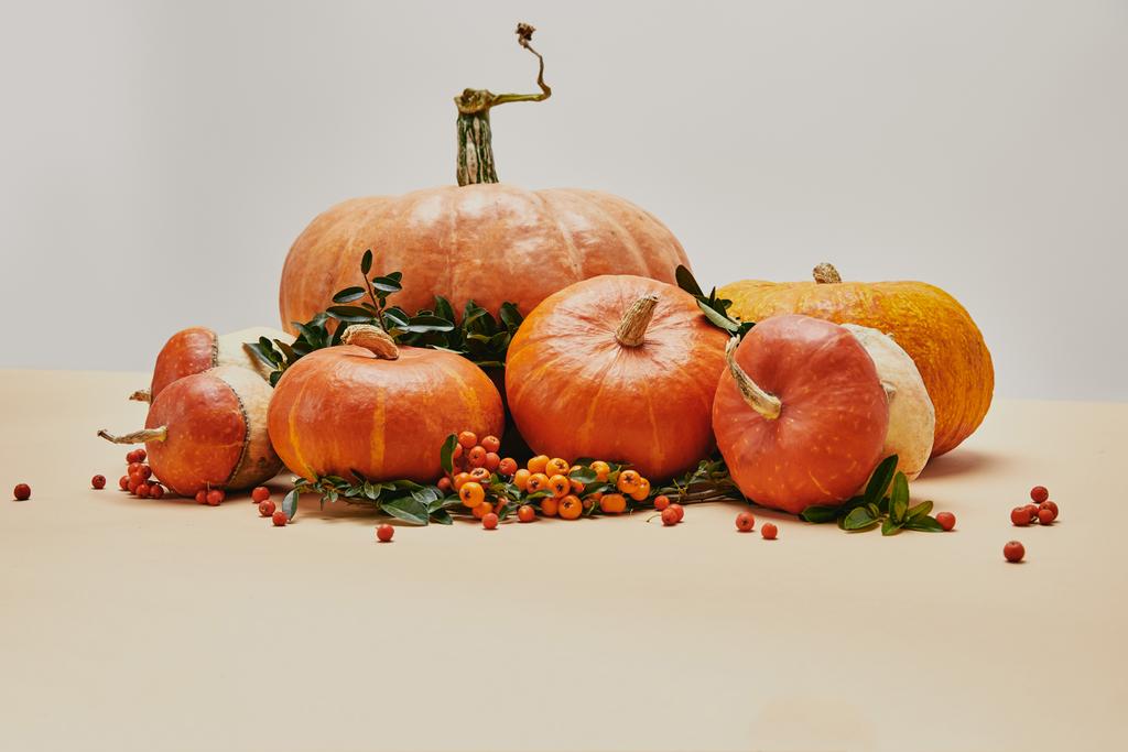 sezonowych dekoracji z dyni i firethorn owoce na stole - Zdjęcie, obraz