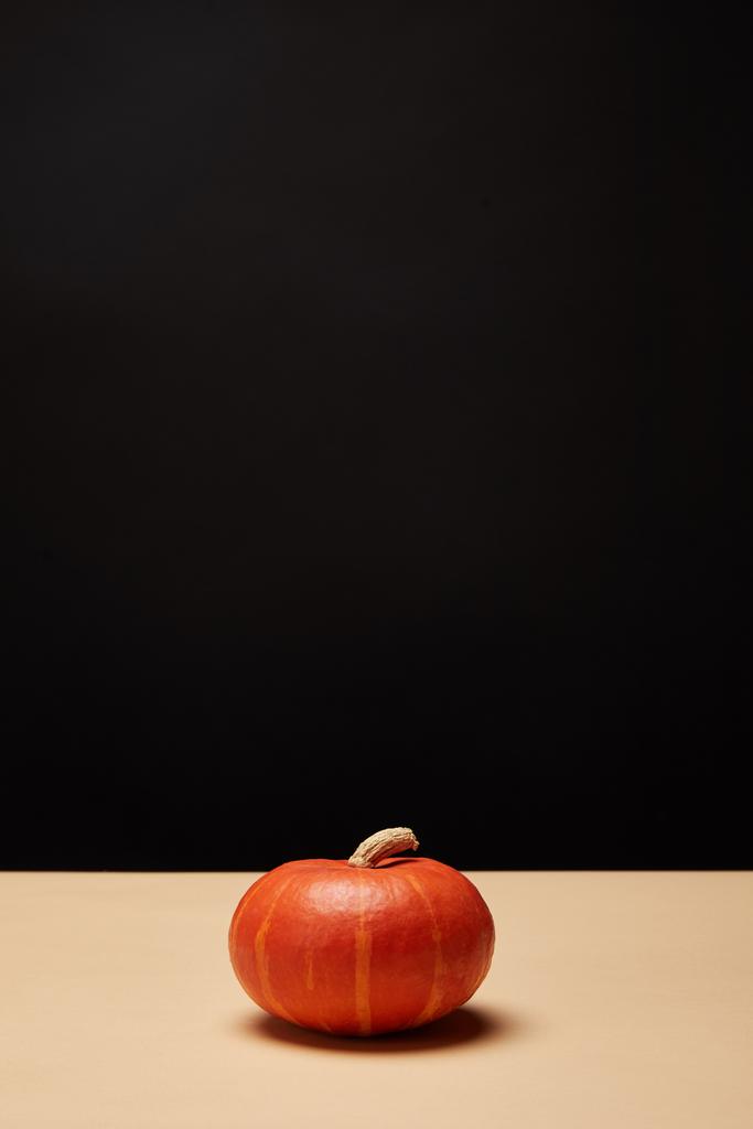 одна оранжевая тыква на бежевом столе
 - Фото, изображение