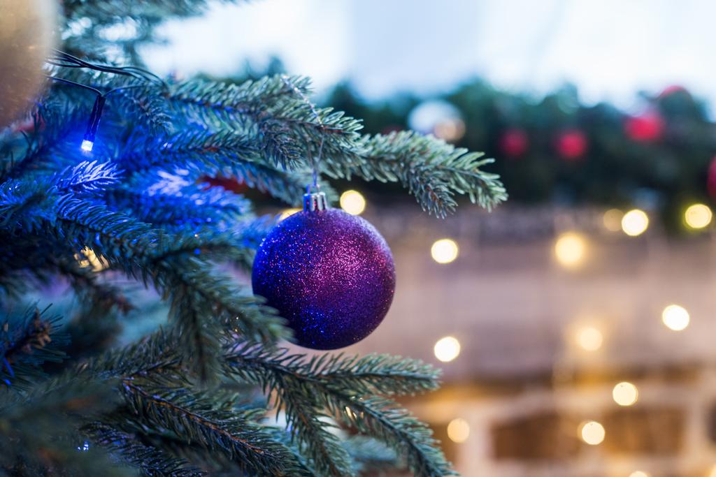 クリスマス ツリーに掛かっている美しい光沢のある紫色のボールのクローズ アップ ビュー - 写真・画像