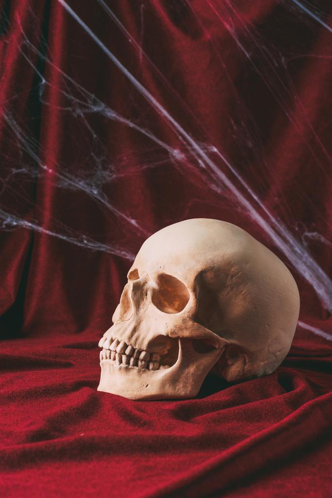 Cráneo de Halloween sobre tela roja con tela de araña
 - Foto, Imagen