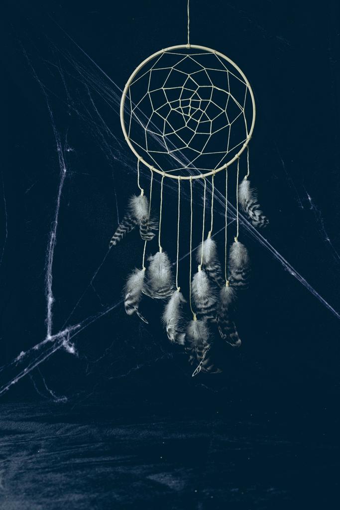 gothic dreamcatcher with feathers in darkness with spider web for halloween - Photo, Image