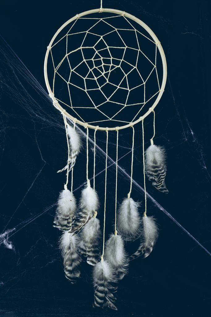 クモの巣と暗闇の中で羽とドリーム キャッチャー ロイヤリティフリー写真 画像素材