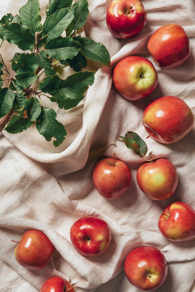 Widok z góry świeżość jabłek z jabłoni pozostawia na zwolnieniu tkaniny - Zdjęcie, obraz