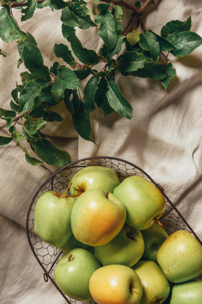 зеленые яблоки в металлической корзине с листьями яблони на мешковатой ткани
 - Фото, изображение