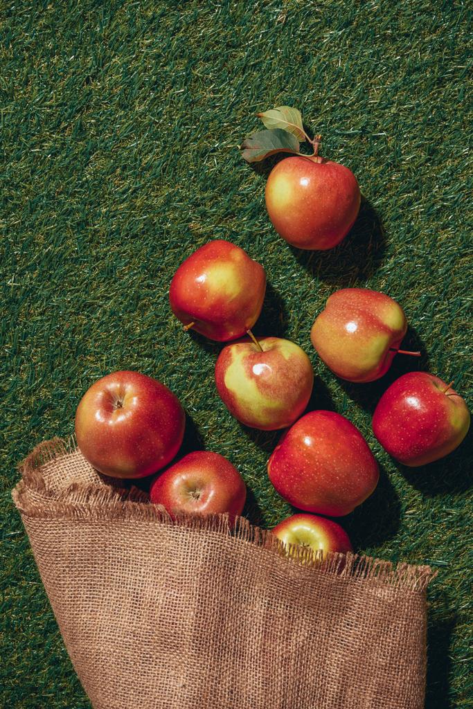緑の草の上に布を解任と赤りんごのトップ ビュー - 写真・画像