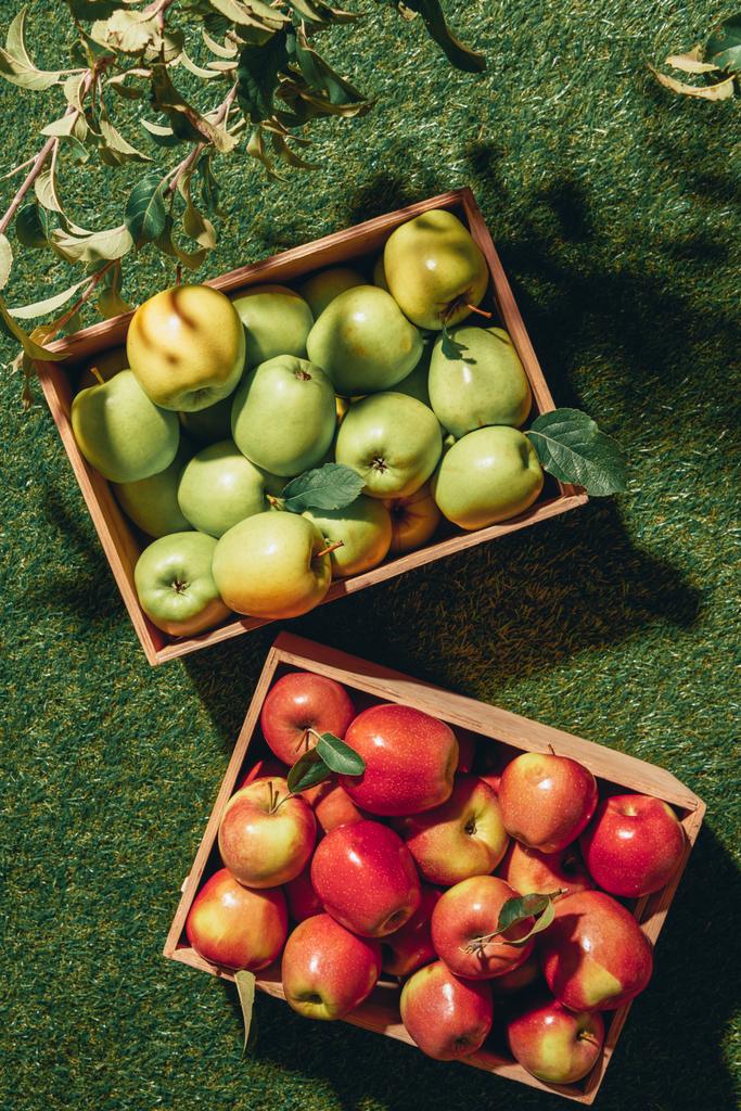 vista superior de manzanas verdes y rojas en cajas de madera con hojas de manzano
 - Foto, Imagen