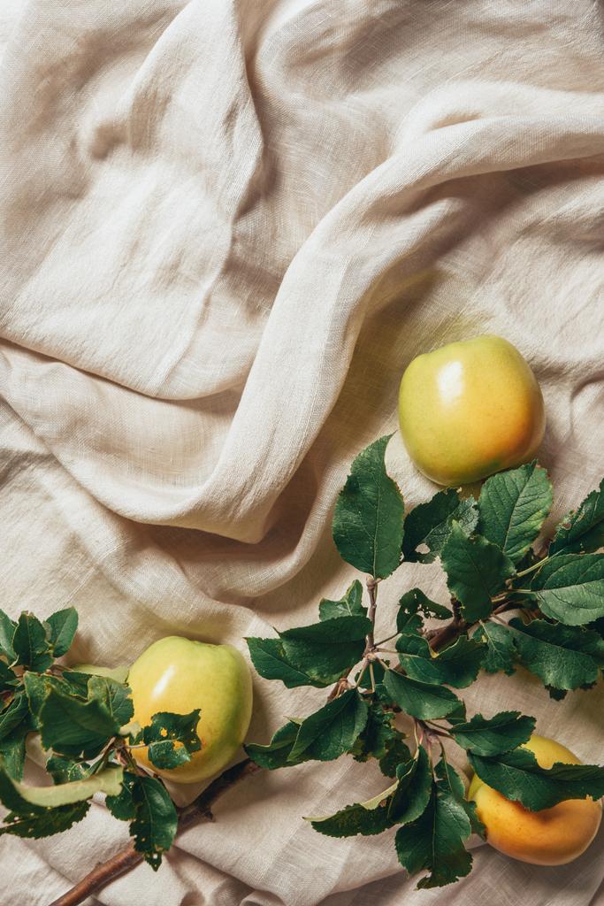 vista dall'alto di mele gialle con foglie di melo su panno di sacco
 - Foto, immagini