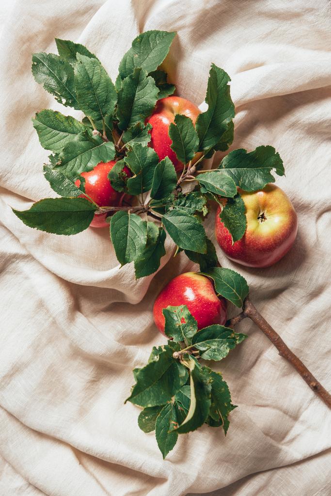 bovenaanzicht van rode appels en appelboom verlaat op het ontslaan van doek - Foto, afbeelding