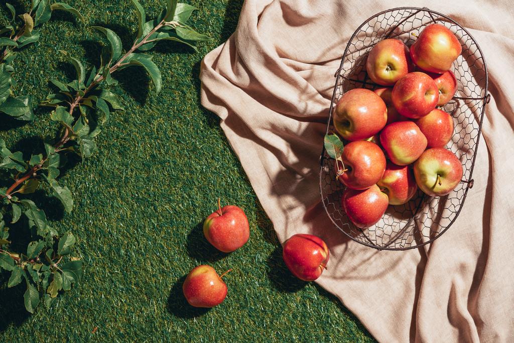 red apples in metal basket on sacking cloth with apple tree leaves on grass - Photo, Image