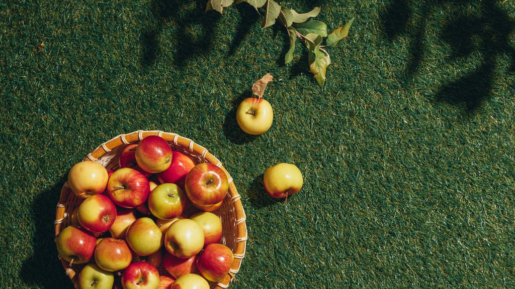 органічні яблука в плетеному кошику з яблуневим листям трави
 - Фото, зображення