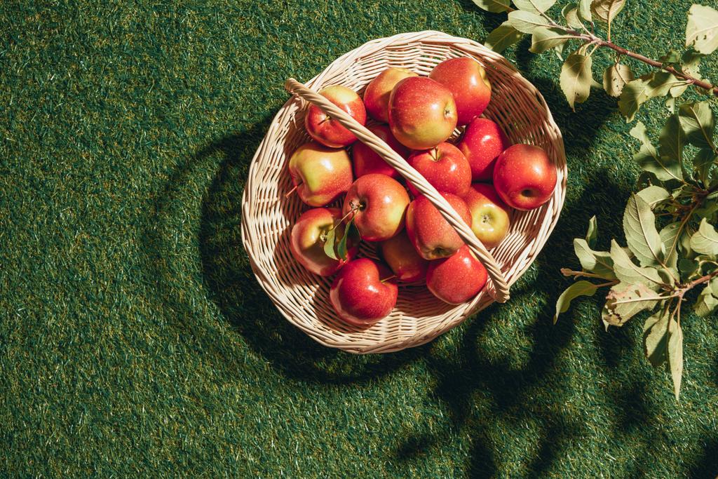maçãs saborosas vermelhas em cesta de vime com folhas de macieira
 - Foto, Imagem