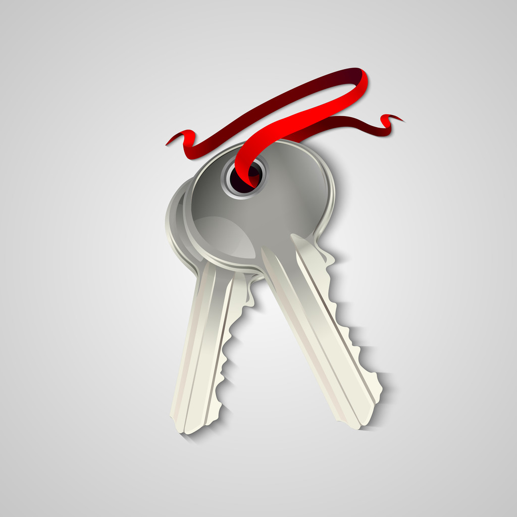 Sheaf of two silver keys with red ribbon. Vector illustration - Vector, Image