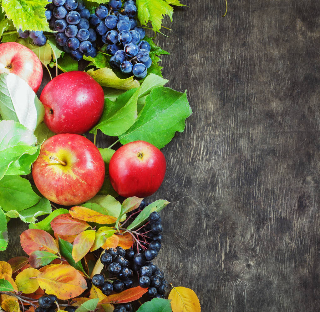 品揃えの有機フルーツの果実リンゴ ブドウ ダマシン rowanberry 暗い木製のカントリー背景医療自然概念トップ ビュー - 写真・画像